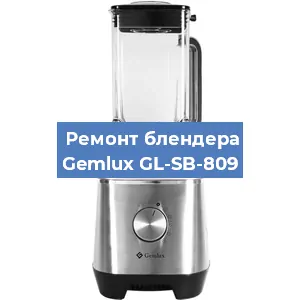 Замена щеток на блендере Gemlux GL-SB-809 в Воронеже